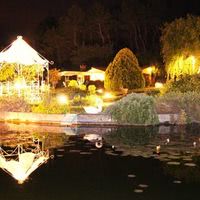Floraison en Foret