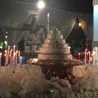 Salon Organza
