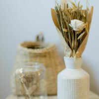 Chambre Boudoir d'Anna