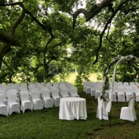 Cérémonie de mariage, Conférence sous le Platane