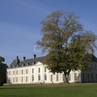 Vue