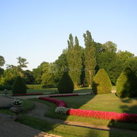 Vue