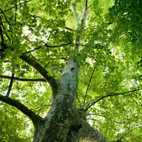 Château Haut Nouchet