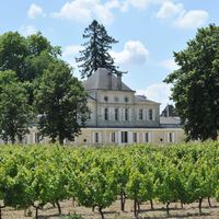 Château Haut Nouchet
