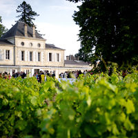 Château Haut Nouchet