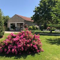 Jardin et préau des Bergeries