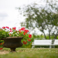 Jardin