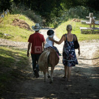 Centre équestre - Balade à cheval