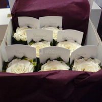 Decoration de mariages et receptions