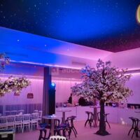 Le Chalet des Pins