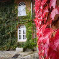 Domaine du Parc