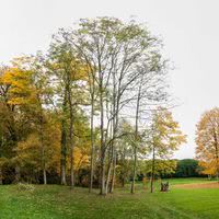 Domaine du Parc