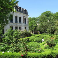Les Érables