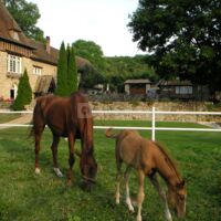Manoir des Foulons