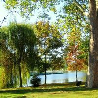 Vue du Lac depuis le parc