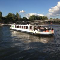 La guêpe buissonnière sur la seine