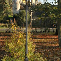 Le jardin