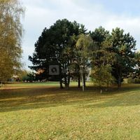 Parc de l'hôtel