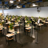 Examens