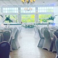 Salon Silver