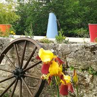Jardin