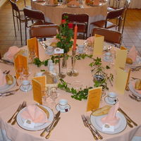 Presentation de tables nappage saumon