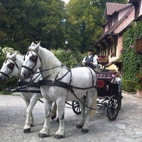 Arrivée à cheval