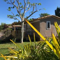 Chalet marina/ Camping des Portes du Beaujolais