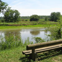 Chapiteau en bord de Saône / Camping des Portes du Beaujolais