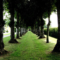 Château de Dommerville