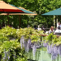 La terrasse en été