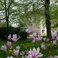 Château de la Chesnaie