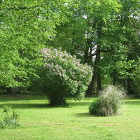 Le Moulin de Pommeuse