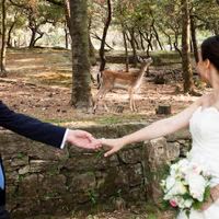 Prieuré Saint-Michel de Grandmont