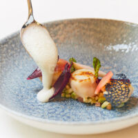 Noix de Saint Jacques