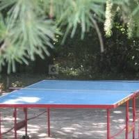 Ping pong