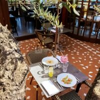 Patio du Bistrot de L'Oasis