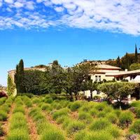 La terrasse des lavandes