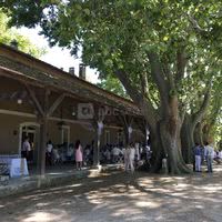 Brunch du Lendemain de mariage
