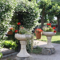 Le parc du Mas des Jasses vous permettra de prendre vos photos et de réaliser votre cocktail et Vin d'honneur