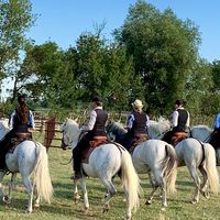 Présentation de la Manade par les Gardians à cheval
