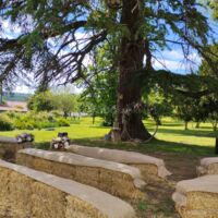 Cérémonie laïque sous les cèdres