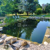 Piscine naturelle 5M/10M