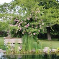 Piscine naturelle