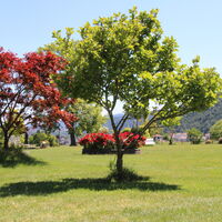 Parc