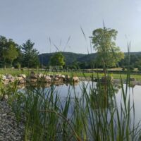 La piscine naturelle 5M/10M