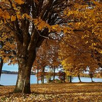 Hôtel Le Relais des Lacs