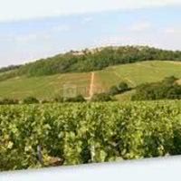 Château de Garnerot de Mercurey