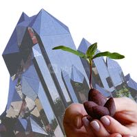 Challenge développement durable