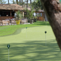Bar et golf